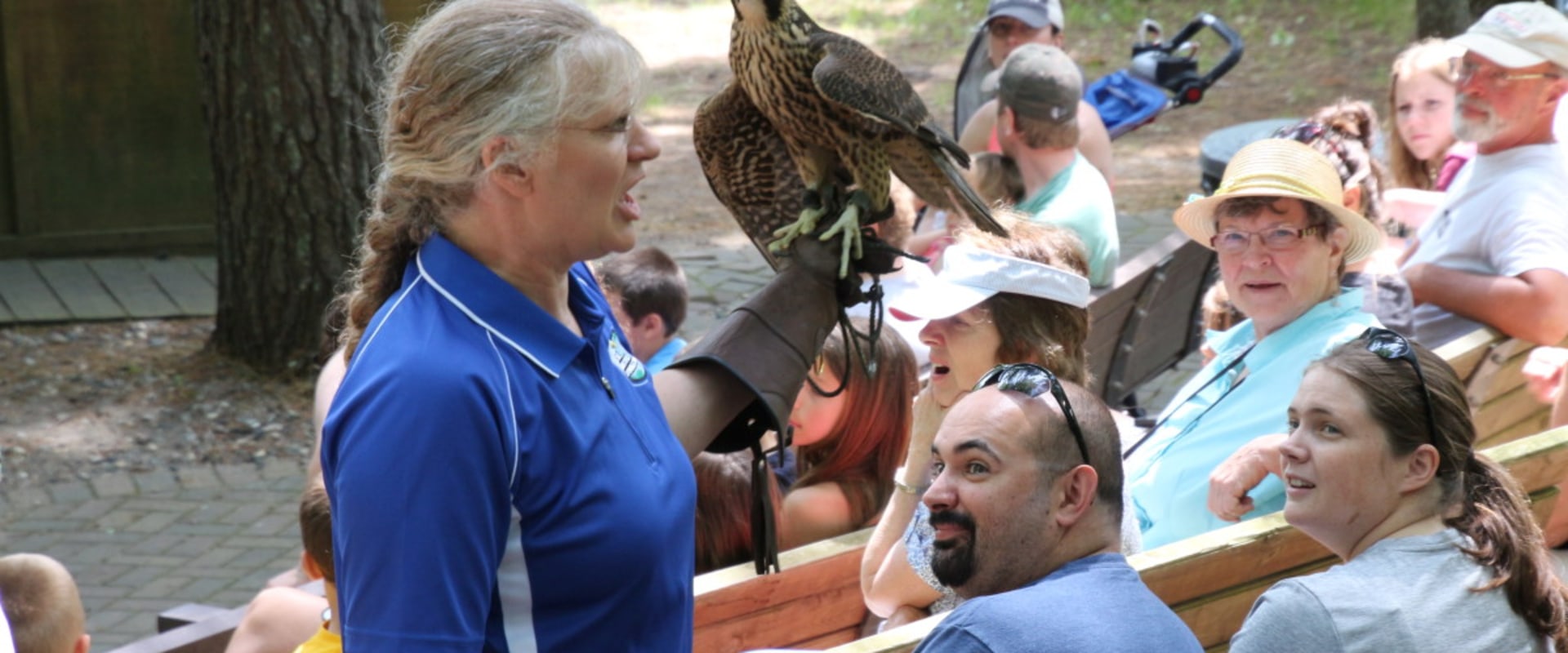 Exploring the Rich History of Eagle: A Journey Through Pioneer Days