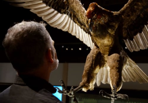 Discover the Fascinating History of Eagle at the Local Museum