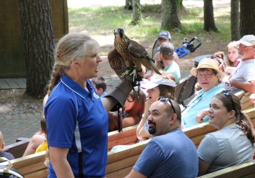 Exploring the Rich History of Eagle: A Journey Through Pioneer Days